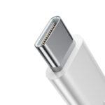 type-c wired earphones bd
