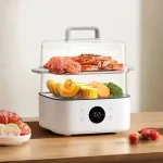 best electric steamer bangladesh