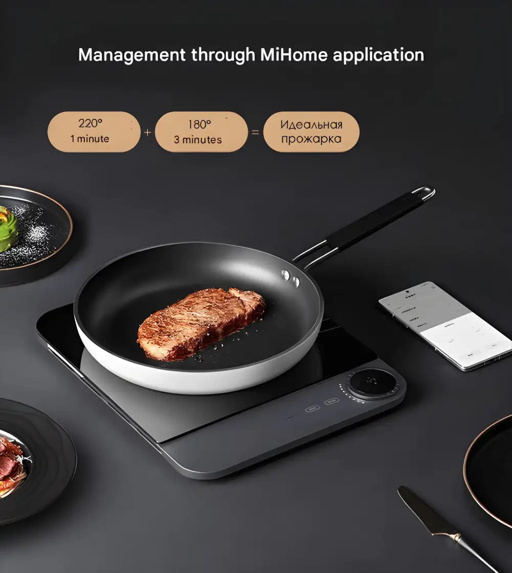 best induction cooker bd